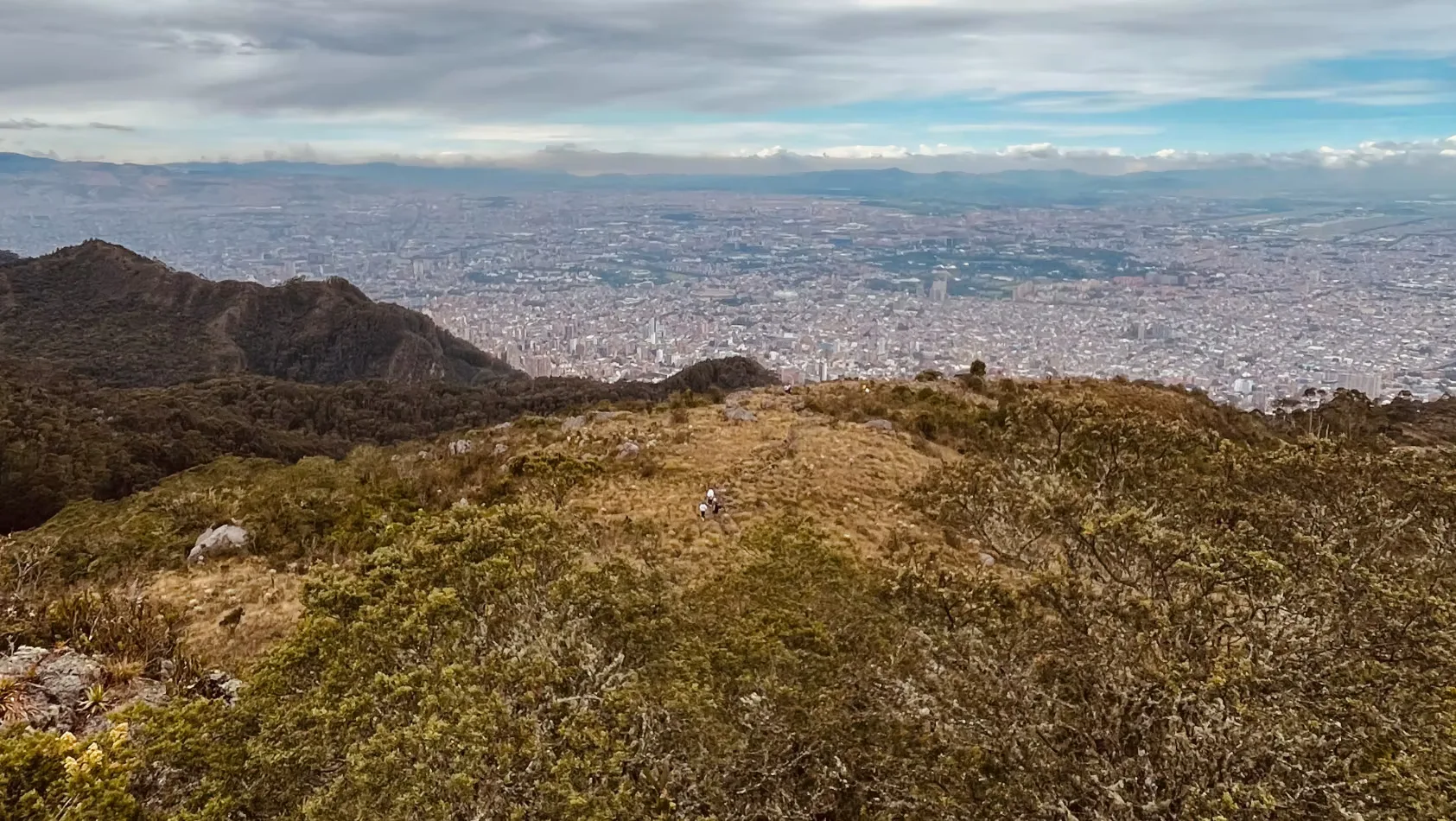 Martes de Moyas · Fuerza Natural