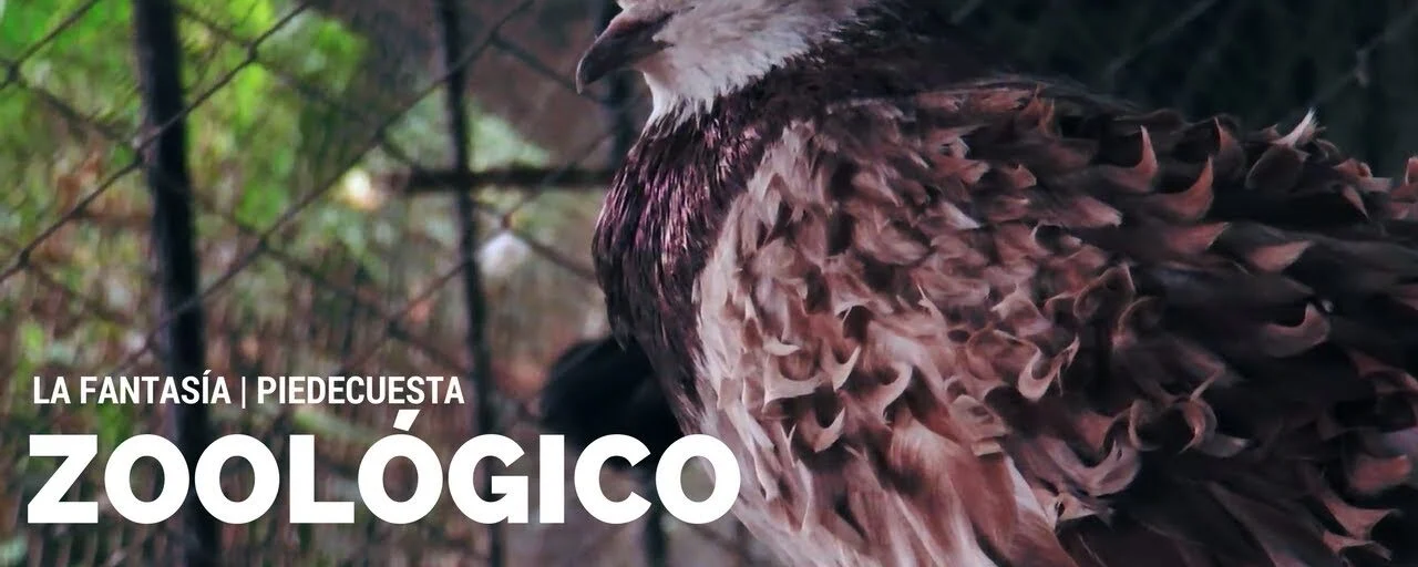 Zoologico De Aves La Fantasía