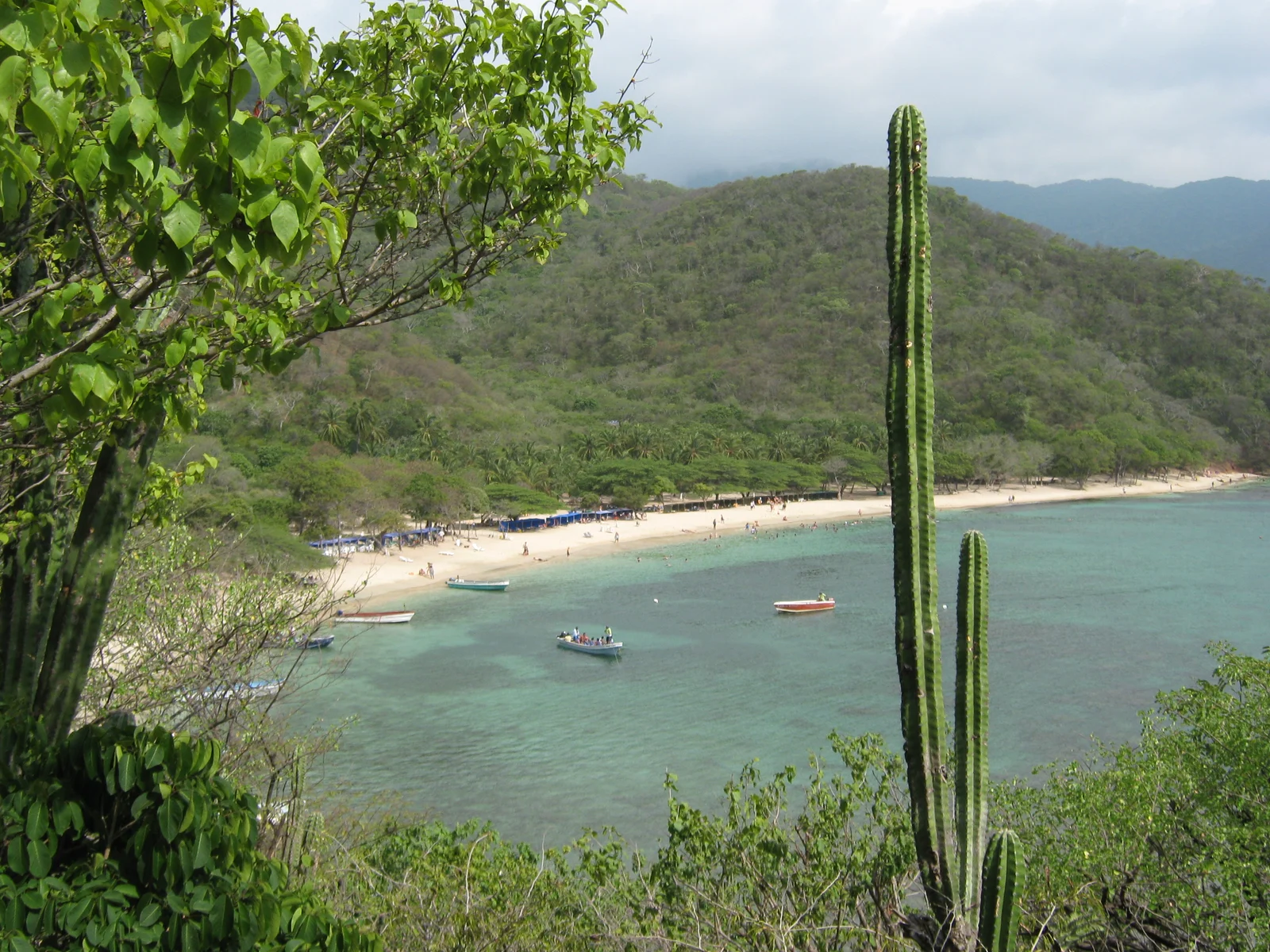Playa Cristal · Tayrona
