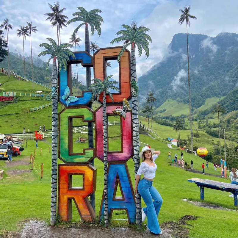 Valle de Cocora - inspiracion 2